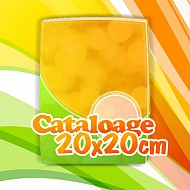Cataloage 20x20 cm
